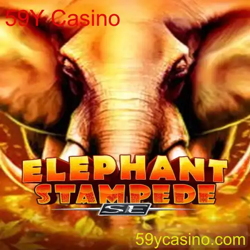 Explorando o Excitante Jogo ElephantStampedeSE no 59Y Casino